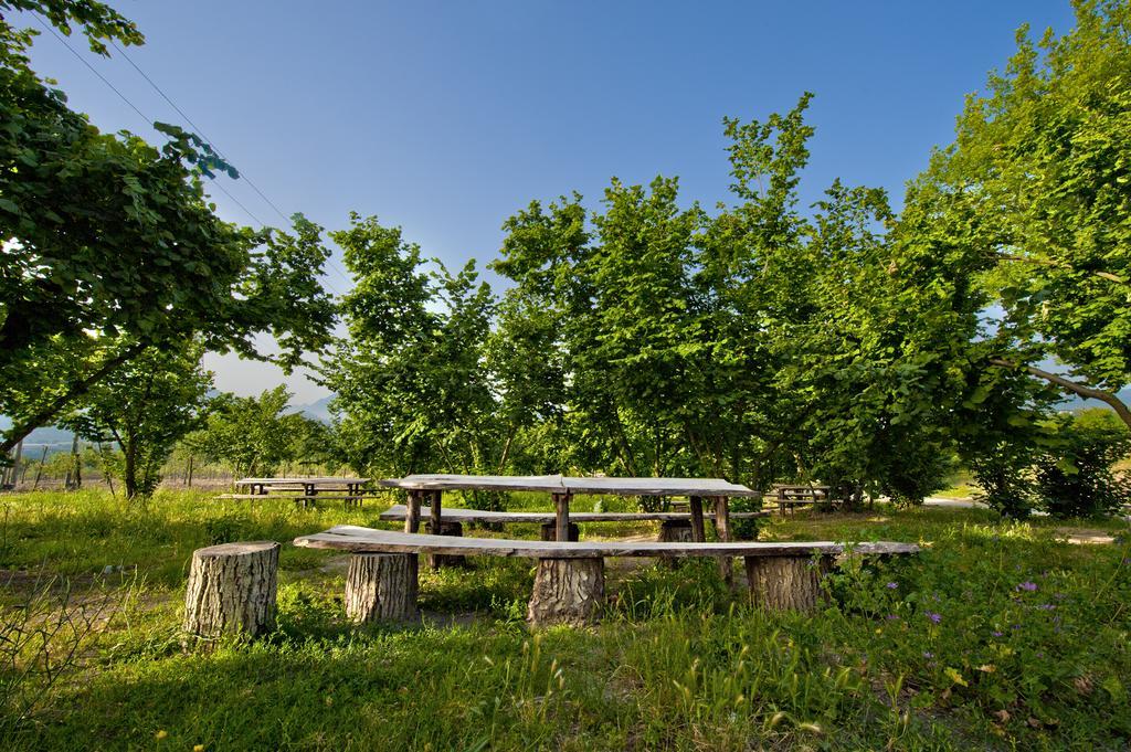 Tenuta Ippocrate Montefredane Exteriör bild